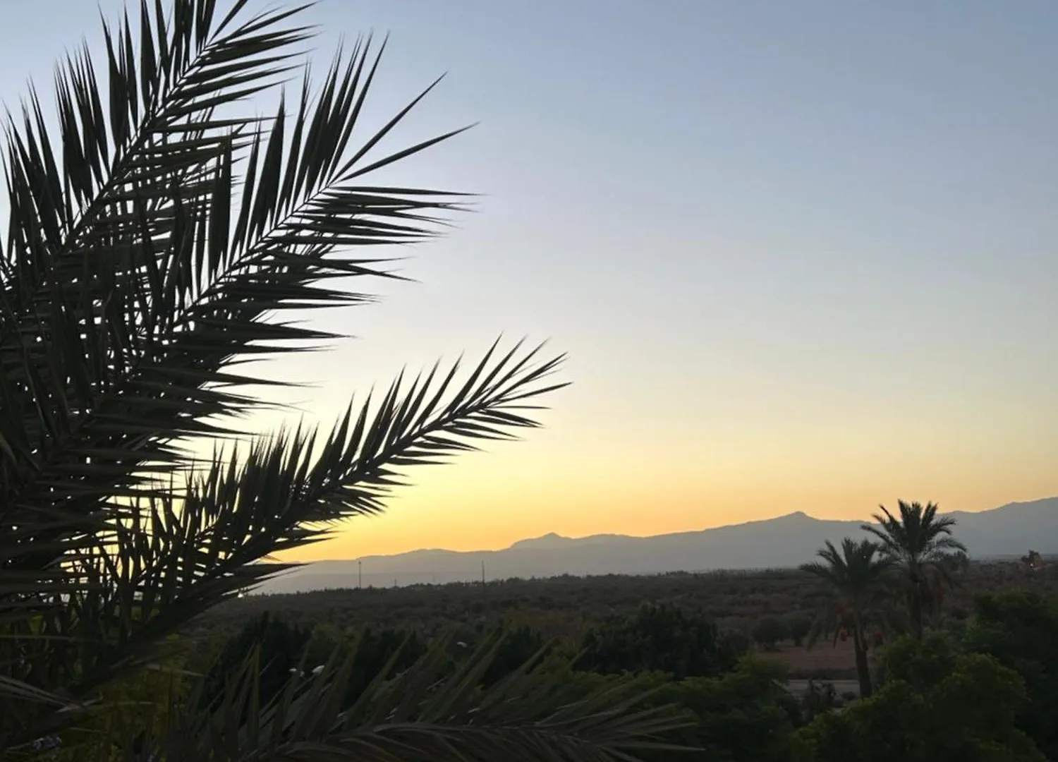 Palm View Apartment Marrakesh